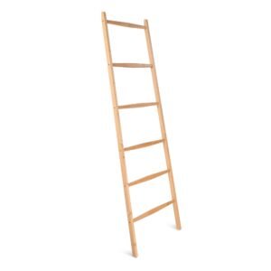 Wooden leaning ladder with five rungs against a white background